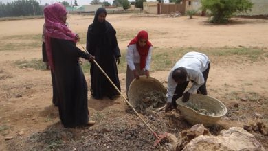 حملة اصحاح البيئة بمجمع التربية