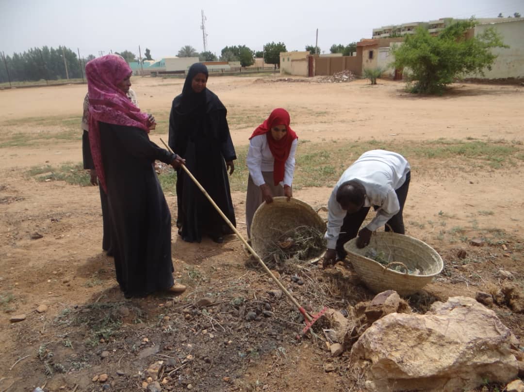 حملة اصحاح البيئة بمجمع التربية