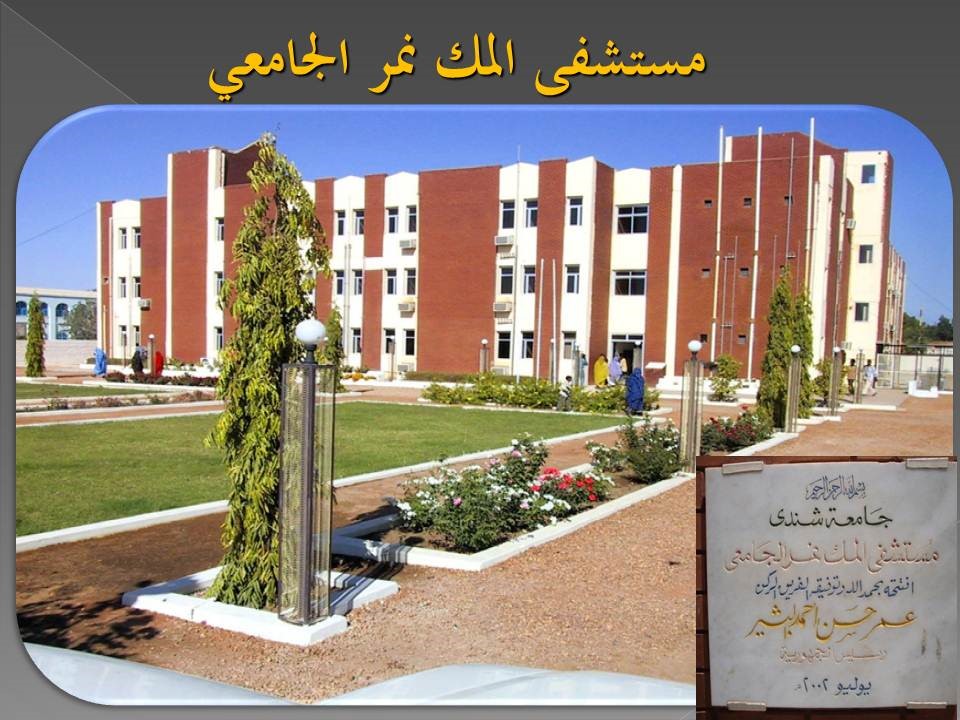 جامعة شندي SHENDI University - Shendi University - University of Shendi