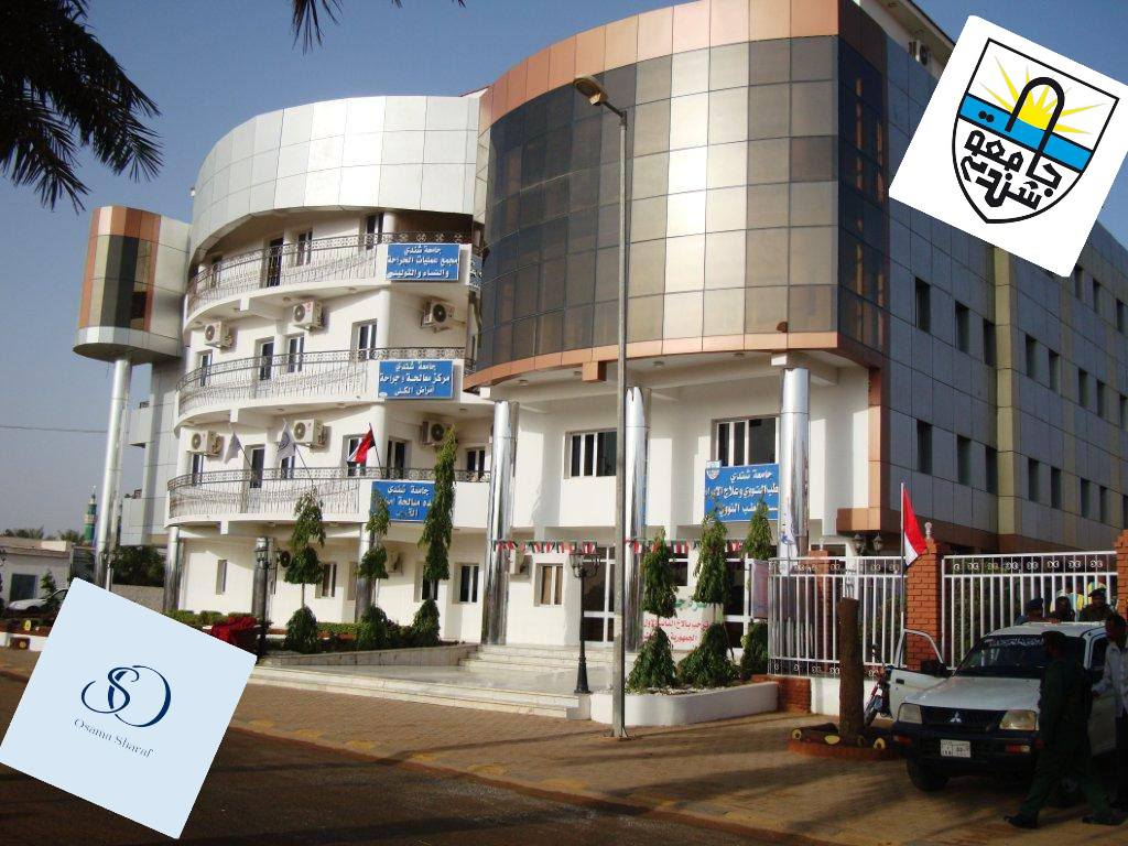 القائد العام للقوات المسلحة يتفقد العمل بالمرافق الطبية التابعة لجامعة شندي